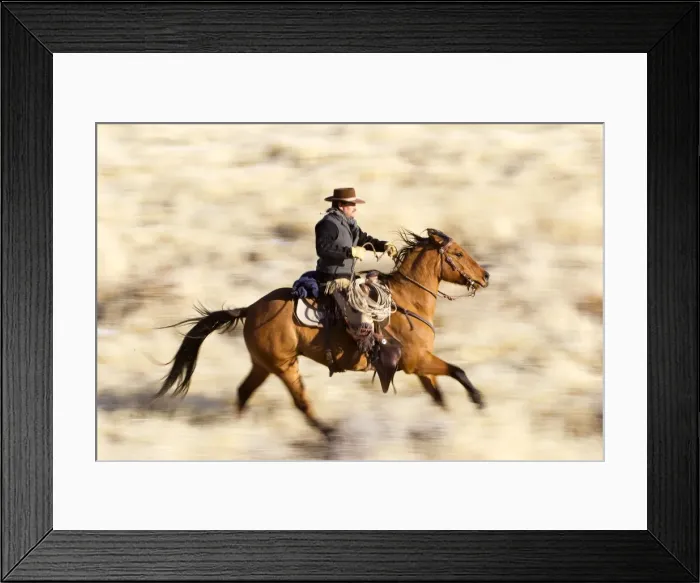 Framed Print : Picture No. 10898588 Framed Print : Picture No. 10898588