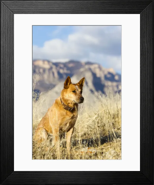 Framed Print : Picture No. 10898586 Framed Print : Picture No. 10898586