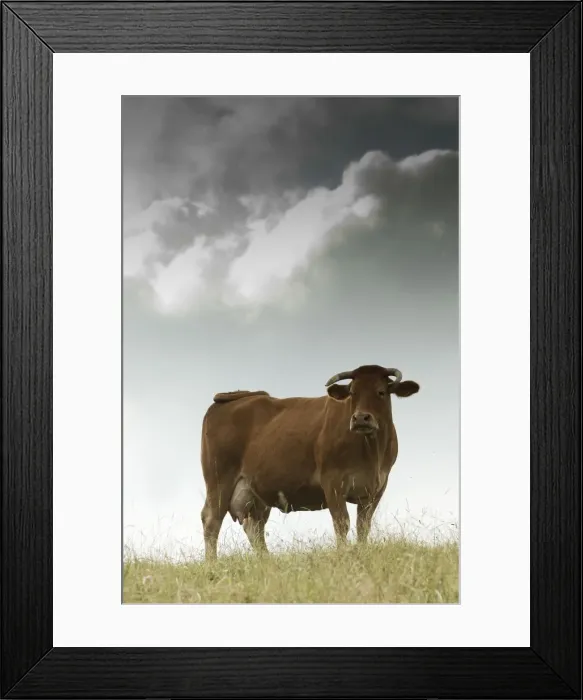 Framed Print : Picture No. 10898646 Framed Print : Picture No. 10898646