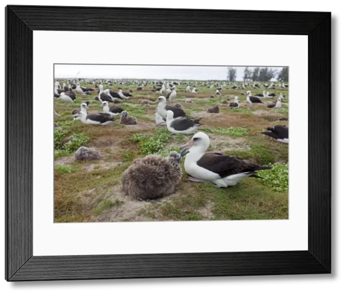 Framed Print : Picture No. 10898607 Framed Print : Picture No. 10898607