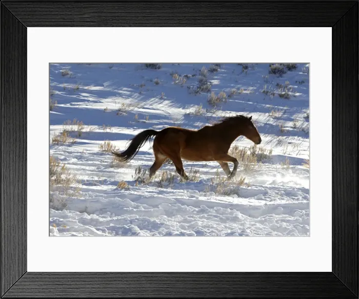 Framed Print : Picture No. 10898577 Framed Print : Picture No. 10898577