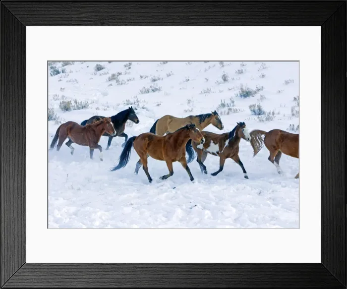 Framed Print : Picture No. 10898576 Framed Print : Picture No. 10898576