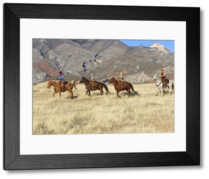 Framed Print : Picture No. 10898571 Framed Print : Picture No. 10898571