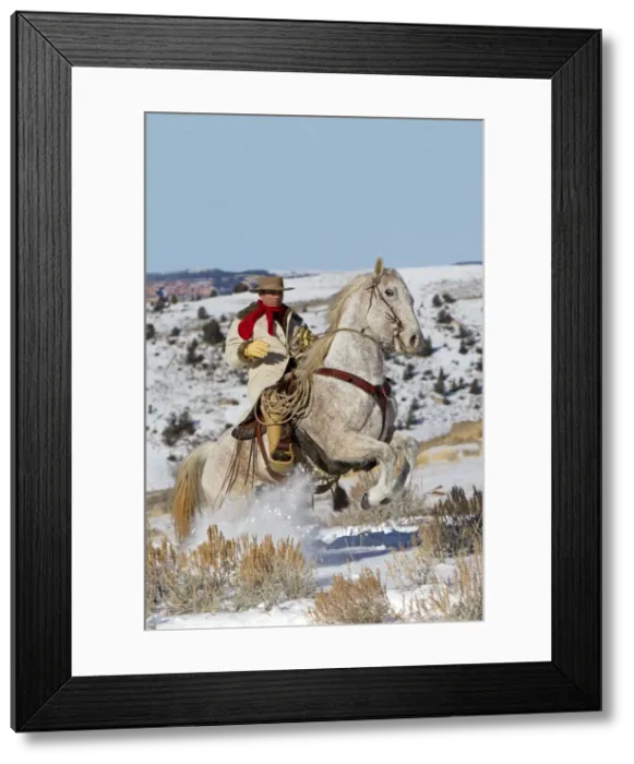 Framed Print : Picture No. 10898582 Framed Print : Picture No. 10898582