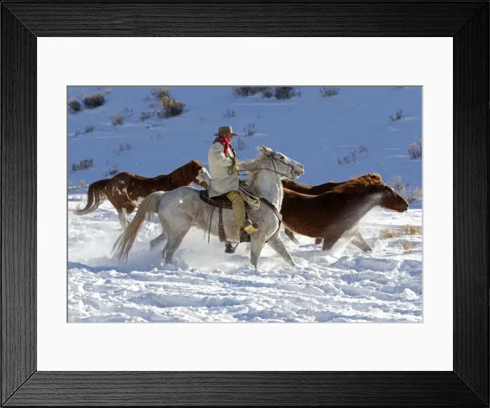 Framed Print : Picture No. 10898580 Framed Print : Picture No. 10898580