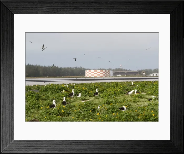 Framed Print : Picture No. 10898613 Framed Print : Picture No. 10898613