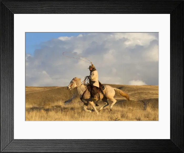 Framed Print : Picture No. 10898562 Framed Print : Picture No. 10898562