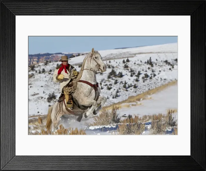 Framed Print : Picture No. 10898581 Framed Print : Picture No. 10898581