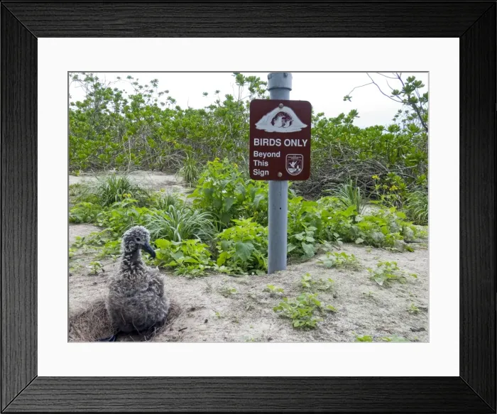 Framed Print : Picture No. 10898627 Framed Print : Picture No. 10898627