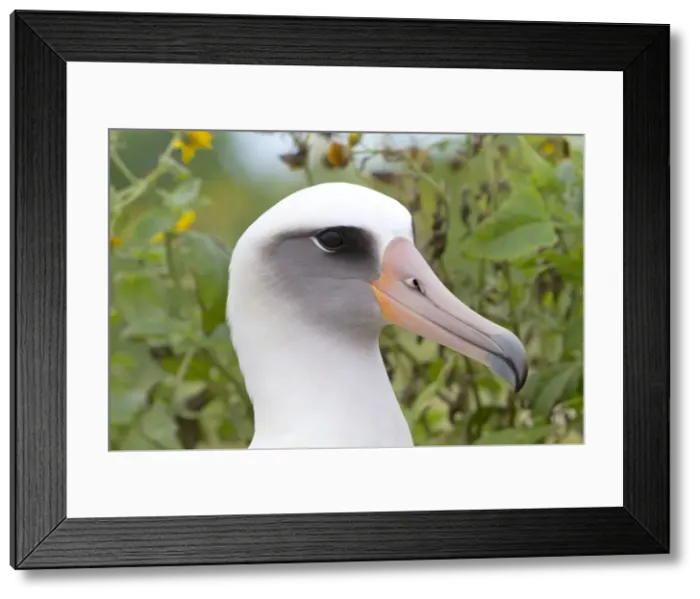 Framed Print : Picture No. 10898620 Framed Print : Picture No. 10898620