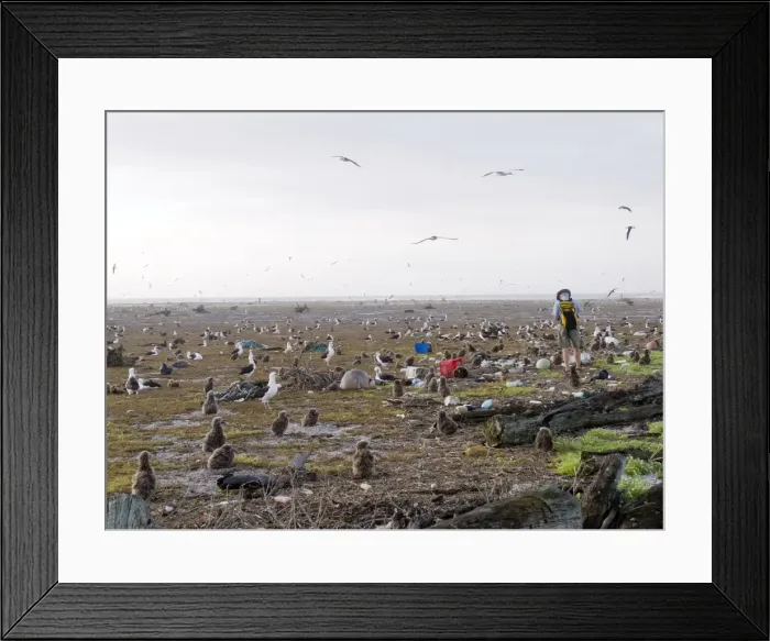 Framed Print : Picture No. 10898624 Framed Print : Picture No. 10898624