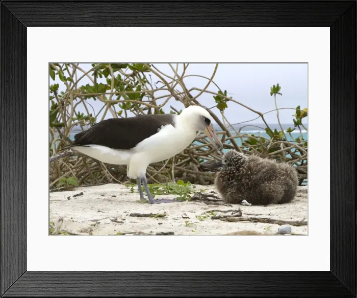 Framed Print : Picture No. 10898622 Framed Print : Picture No. 10898622
