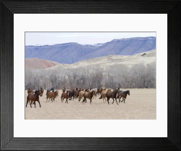 Framed Print : Picture No. 10898585 Framed Print : Picture No. 10898585