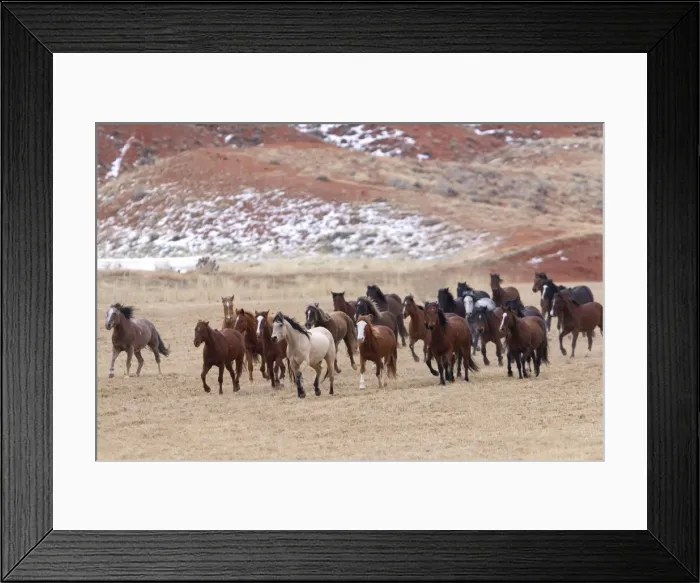 Framed Print : Picture No. 10898575 Framed Print : Picture No. 10898575
