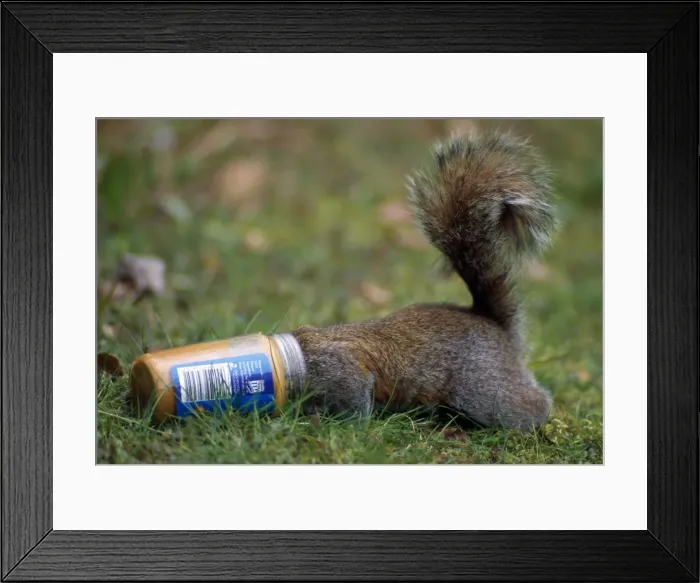 Framed Print : Picture No. 10855922 Framed Print : Picture No. 10855922