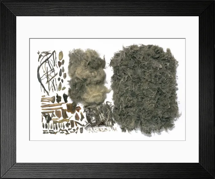 Framed Print : Picture No. 10856124 Framed Print : Picture No. 10856124