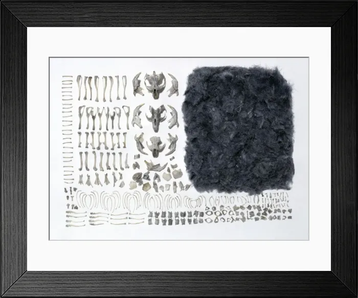 Framed Print : Picture No. 10856123 Framed Print : Picture No. 10856123