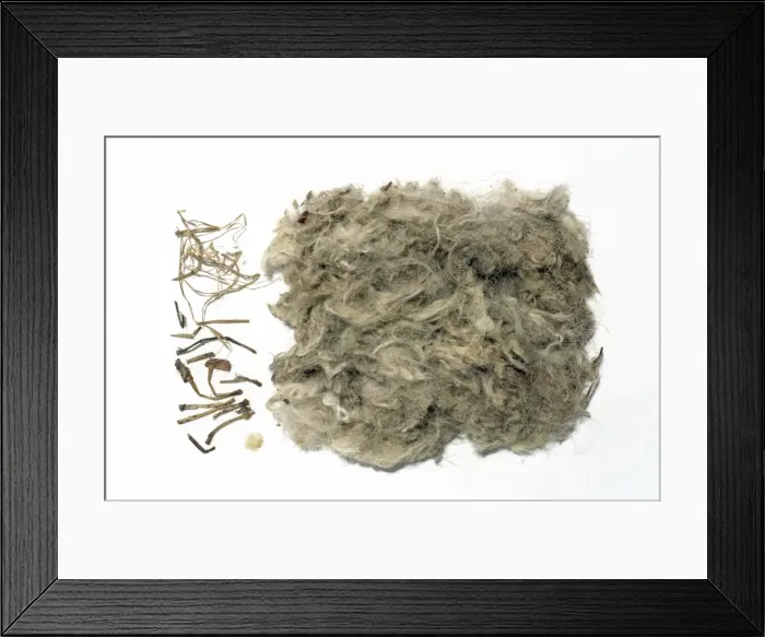 Framed Print : Picture No. 10856125 Framed Print : Picture No. 10856125
