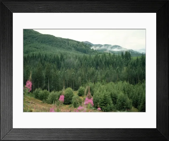Framed Print : Picture No. 10856198 Framed Print : Picture No. 10856198