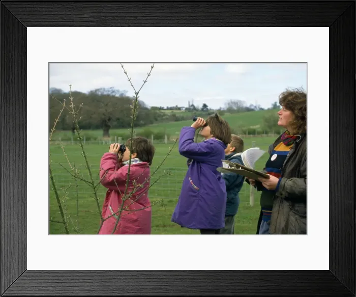 Framed Print : Picture No. 10856233 Framed Print : Picture No. 10856233