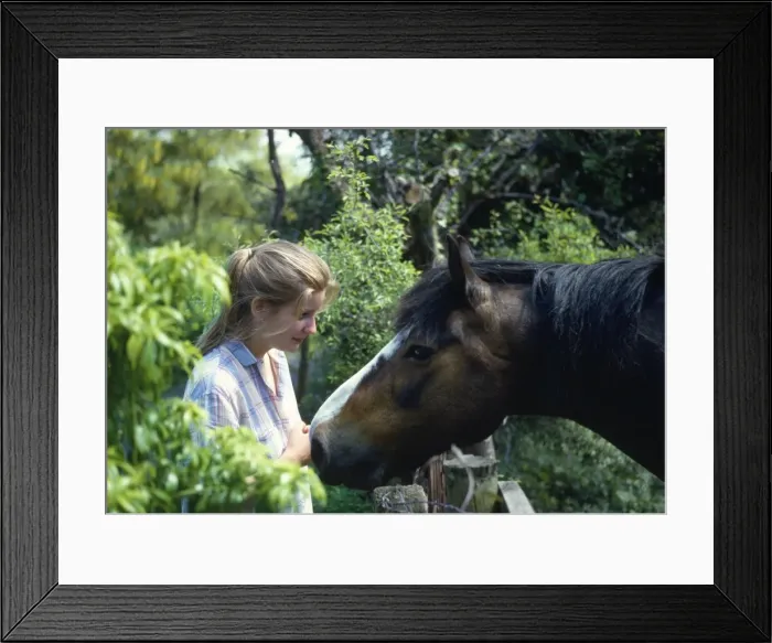 Framed Print : Picture No. 10856226 Framed Print : Picture No. 10856226