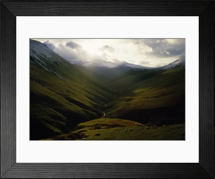 Framed Print : Picture No. 10856241 Framed Print : Picture No. 10856241