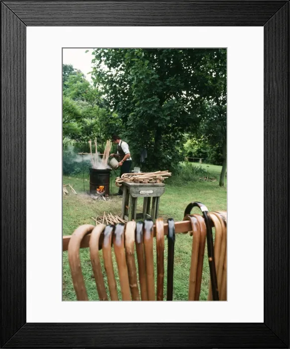 Framed Print : Picture No. 10856229 Framed Print : Picture No. 10856229