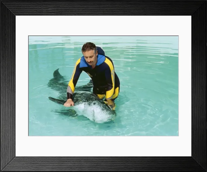 Framed Print : Picture No. 10856256 Framed Print : Picture No. 10856256
