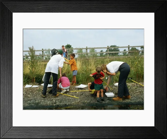 Framed Print : Picture No. 10856236 Framed Print : Picture No. 10856236