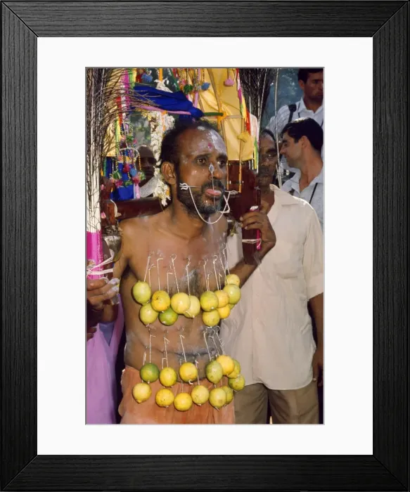 Framed Print : Picture No. 10856264 Framed Print : Picture No. 10856264