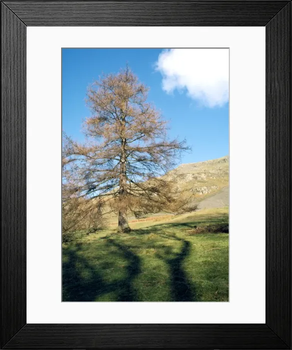 Framed Print : Picture No. 10856244 Framed Print : Picture No. 10856244