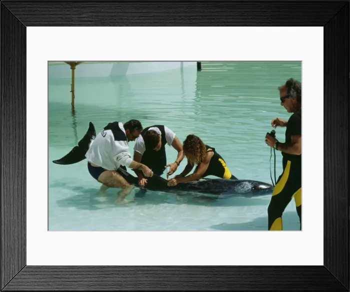 Framed Print : Picture No. 10856255 Framed Print : Picture No. 10856255