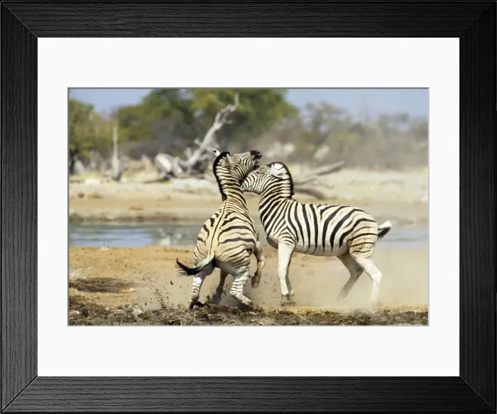 Framed Print : Picture No. 10856272 Framed Print : Picture No. 10856272