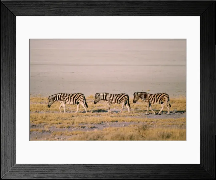 Framed Print : Picture No. 10856271 Framed Print : Picture No. 10856271