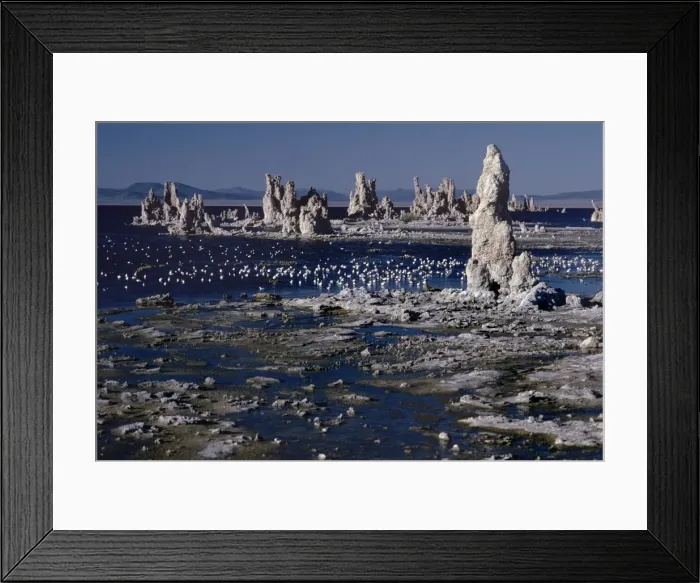 Framed Print : Picture No. 10856475 Framed Print : Picture No. 10856475