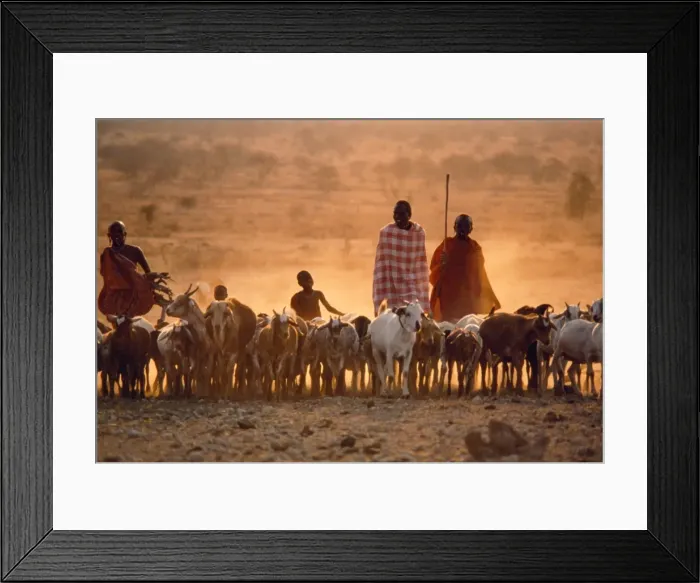 Framed Print : Picture No. 10856524 Framed Print : Picture No. 10856524