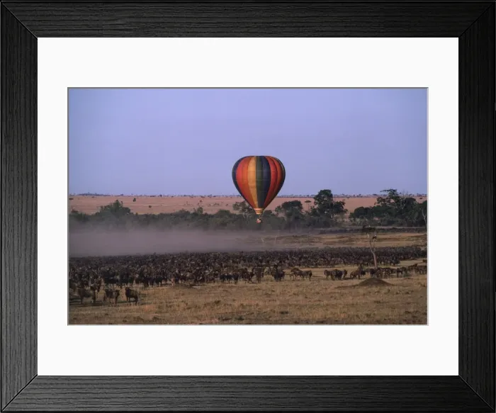 Framed Print : Picture No. 10856531 Framed Print : Picture No. 10856531