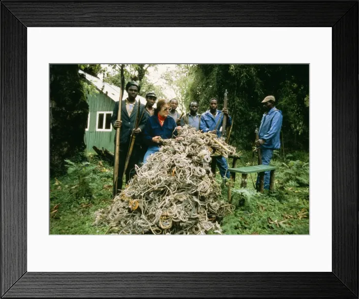 Framed Print : Picture No. 10856556 Framed Print : Picture No. 10856556