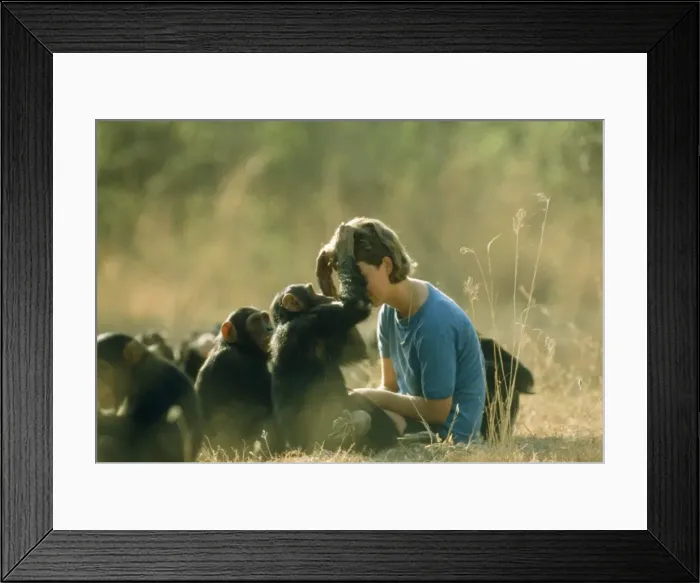 Framed Print : Picture No. 10856564 Framed Print : Picture No. 10856564