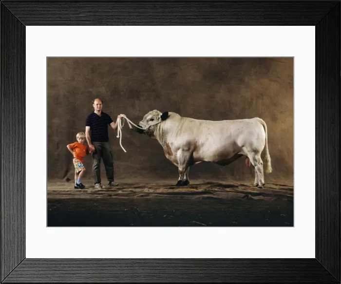Framed Print : Picture No. 10856574 Framed Print : Picture No. 10856574