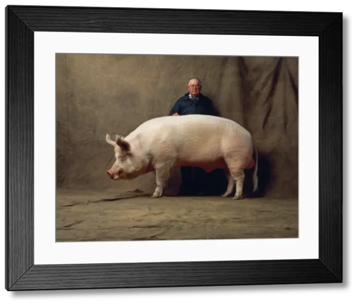 Framed Print : Picture No. 10856566 Framed Print : Picture No. 10856566