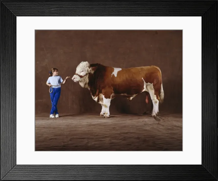 Framed Print : Picture No. 10856573 Framed Print : Picture No. 10856573