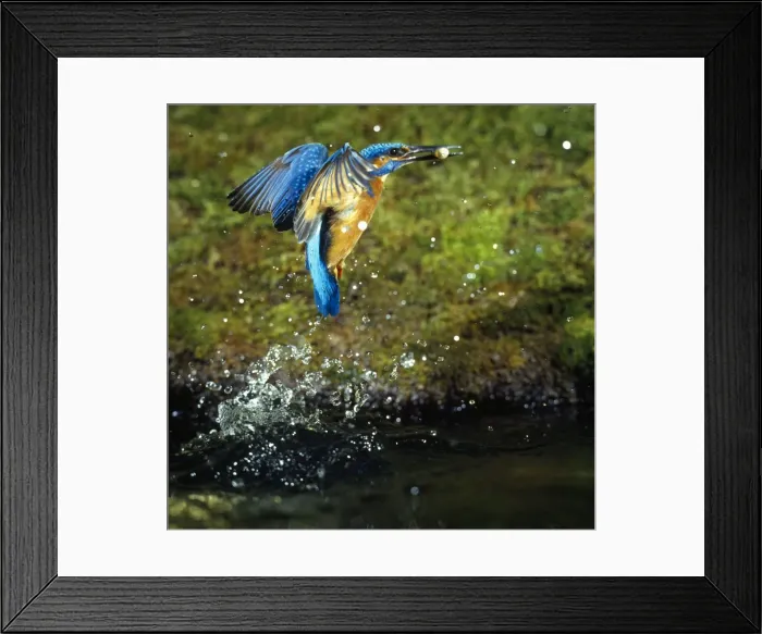 Framed Print : Picture No. 10856592 Framed Print : Picture No. 10856592