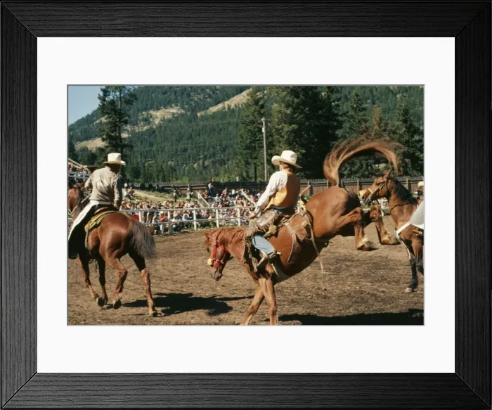 Framed Print : Picture No. 10856611 Framed Print : Picture No. 10856611