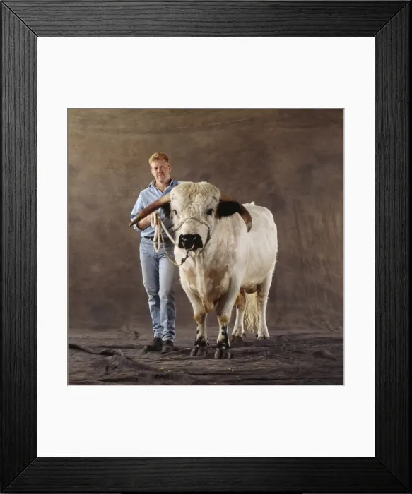 Framed Print : Picture No. 10856575 Framed Print : Picture No. 10856575