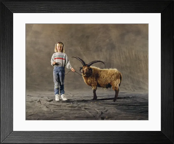 Framed Print : Picture No. 10856577 Framed Print : Picture No. 10856577