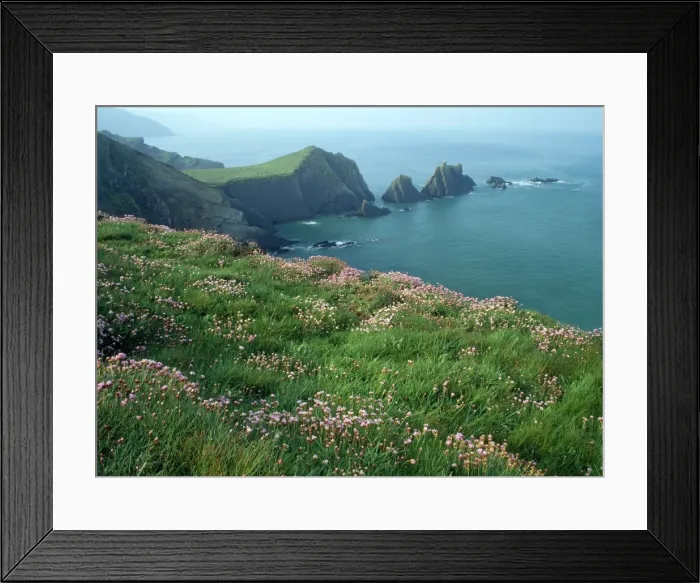 Framed Print : Picture No. 10856621 Framed Print : Picture No. 10856621
