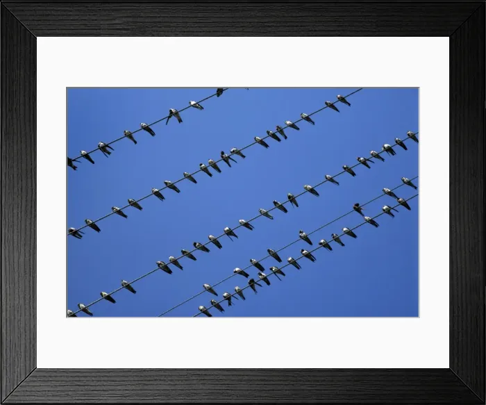Framed Print : Picture No. 10856690 Framed Print : Picture No. 10856690