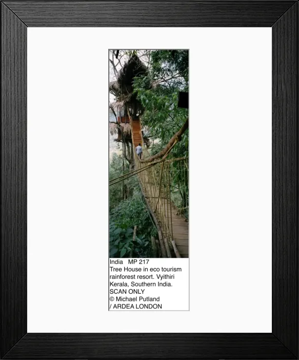 Framed Print : Picture No. 10856693