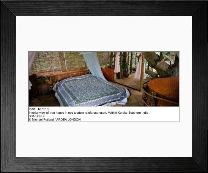 Framed Print : Picture No. 10856694 Framed Print : Picture No. 10856694